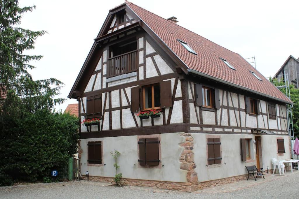 Spacieux Duplex 1 A 6 Personnes Ebersheim Extérieur photo
